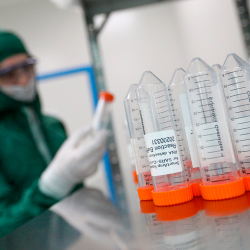 Америка коронавируска каршы дары сыноодон ийгиликтүү өткөнүн жарыялады