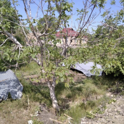 Лейлекте куюн аралаш шамал 7 мектеп менен 33 турак үйдүн чатырын учурду