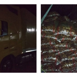 Чек арадан контрабандалык жүк менен эки жигит кармалды