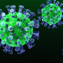 Бүгүн илдетти жуктуруунун жаңы 13 учуру катталды