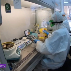 ВИДЕО - Москва вышла в мировые лидеры по выявлению зараженных