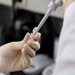 Число зараженных коронавирусом в Узбекистане превысило 2,1 тысячи человек