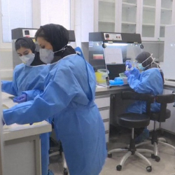 ВОЗ: последние данные по коронавирусу в мире