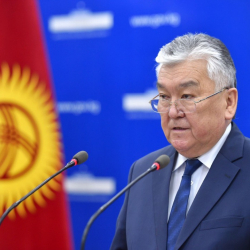 Министр каза болгон дарыгерге компенсация качан төлөнүп берилээрин айтты