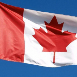 Канада Кытайдан келген бет каптар стандартка жооп бербегендигин билдирди