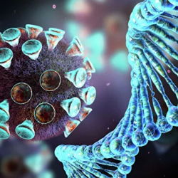 Биологи нашли подтверждение естественного происхождения SARS-CoV-2