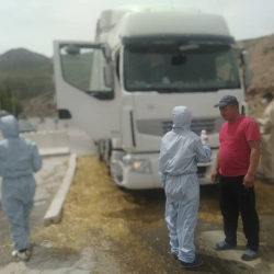 Нарын ШИИБи жол кырсыктарын алдын алуу багытында алгылыктуу иштерди алып барууда