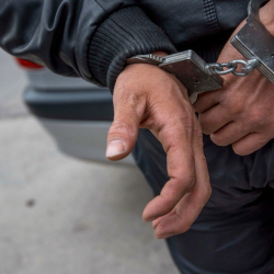 СҮРӨТ- Кыргызстанда 4 өспүрүмдү коркутуп буттарынын алдына ок чыгарган жаран жана анын апасы кармалды