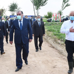 Тажикстандын президенти эпидемия учурунда аймактарга иш сапарга чыкты