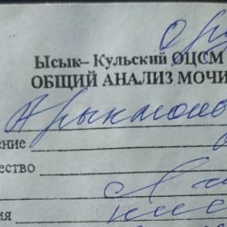 Ысык-Көлдөгү жаран анализге зааранын ордуна чай менен ширенин аралашмасын алып барганы билинип калды