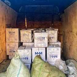 СҮРӨТ-Таластан Казакстанга 15 жарым миң таңгак тамеки ташыган жаран кармалды