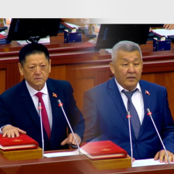 Жогорку Кеңештин жаңы депутаты антты деле уруп ойнобой, уят болду