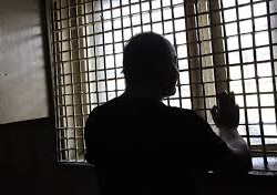 СҮРӨТ - ИИМ: 