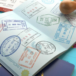 АКШ жумуш визасын берүүнү 2020-жылдын аягына чейин токтотту