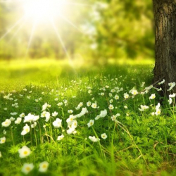 25-июнга карата аба ырайы тууралуу маалымат