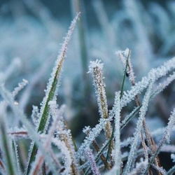 Алайга жана Чоң-Алайга кар жаады