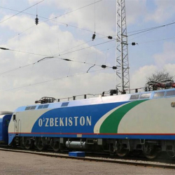 Өзбекстан Россиядагы жарандарын поезд менен чыгарып кетет
