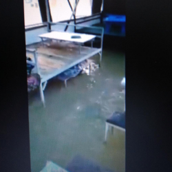 ВИДЕО - Жалал-Абадда сел жүрүп ондогон үйлөрдү жараксыз абалга алып келди