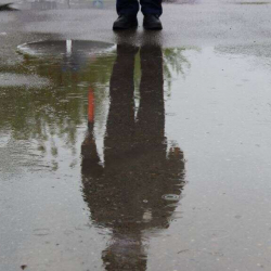 Ош ШИИБи “Шаарда бир гана инспектор иштеп жатат” деген маалыматка жооп берди