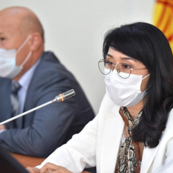 Вице-премьер-министр Аида Исмаилова орусиялык дарыгерлер менен жолугушту