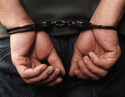 Бишкекте тоноого шектүү жаран изи сууй электе кармалды