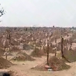 Түркмөнстанда COVID-19дан өлгөндөрдүн эсебин жүргүзүү үчүн көз карандысыз портал ачылды