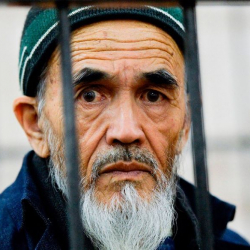 Токон Мамытов: “Үйүбүзгө жылан кирсе дагы ак чачып узаткан калкпыз”