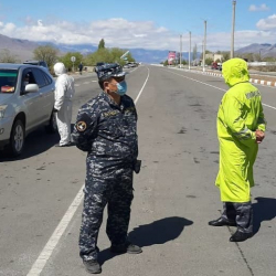 Тогуз-Булак айылында сибирь жарасы катталып, карантин киргизилди