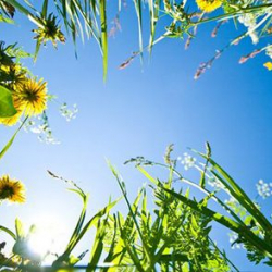 15-августка карата аба ырайы тууралуу маалымат