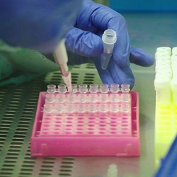 ДССУ: Дүйнө жүзү боюнча коронавирус жуктургандардын саны 21 миллиондон ашты