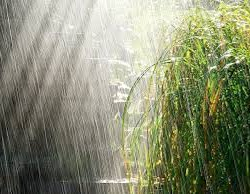 18-19-август күндөрү аба ырайы кандай болот?