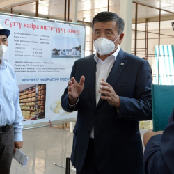 Кочкор районунда сүт иштетүүчү заводду куруу боюнча ири долбоор башталды