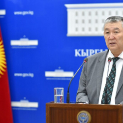 Саламаттык сактоо министрлиги: Оорунун азайышы беткап кийбөөгө негиз эмес