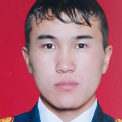 Шамалды-Сайда чек арачы 4 жашар кызды кырсыктан сактап калды