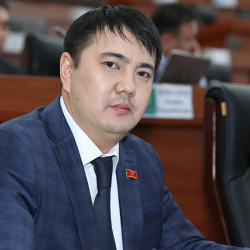 Марлен Маматалиев:“Тизмеге бир дагы криминал же шектүү адам кирген жок”