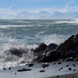 Тынч океанда  5,5 баллга жеткен жер силкинүү болду