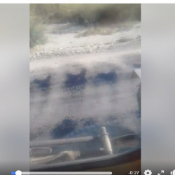 Шайлоо алдындагы шалаакылык! Жолду асфальттоодо битумду эптеп жалатып баратышат