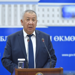 Кубатбек Боронов: Салык жол-жоболорун фискалдаштыруу өз натыйжаларын бере баштады