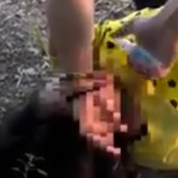 Патрульные брызнули антисептиком в лицо спавшей на бульваре девушки. Начато служебное расследование