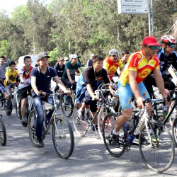 Мэрия шаардыктарды  веложүрүшкө чакырат