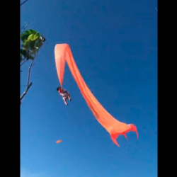 Видео - На Тайване воздушный змей унес ребенка в небо