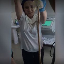 Видео - Огромная змея заползла в рот спящей россиянке