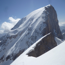 Окумуштуулар эскертет: мөңгүлөр 15 жыл ичинде түгөнөт