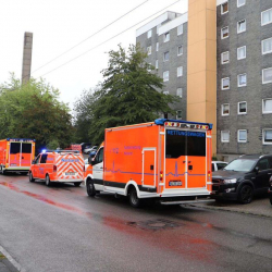 5 баласын өлтүрүп, өзүн поезддин алдына таштады