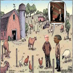 СССР тараган соң колхоз-совхоздордо мүлк эмне себептен азайган?