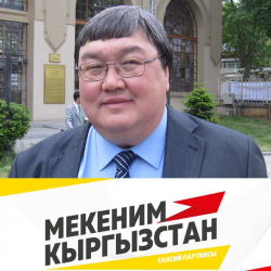 Зайнидин Курманов: “Мекеним Кыргызстан” партиясынын шайлоо алдындагы программасы мени таң калтырды”
