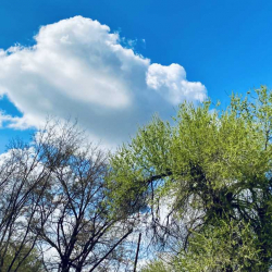 Эртең аба ырайы кандай болот?