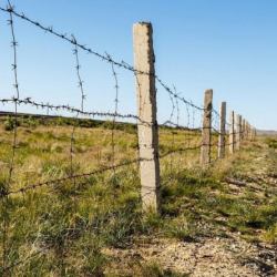 Кыргызстан жана Өзбекстандын өкмөттөр аралык делегацияларынын жумушчу топтору жолугушту