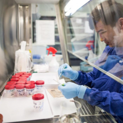 Ковид-19ду жугузгандар  Баткен облусунда көп катталды