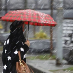 Шашылыш билдирүү! Жаан карга айланып, үшүк жүрөт